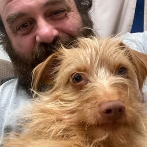 Meet your Posher, Josh